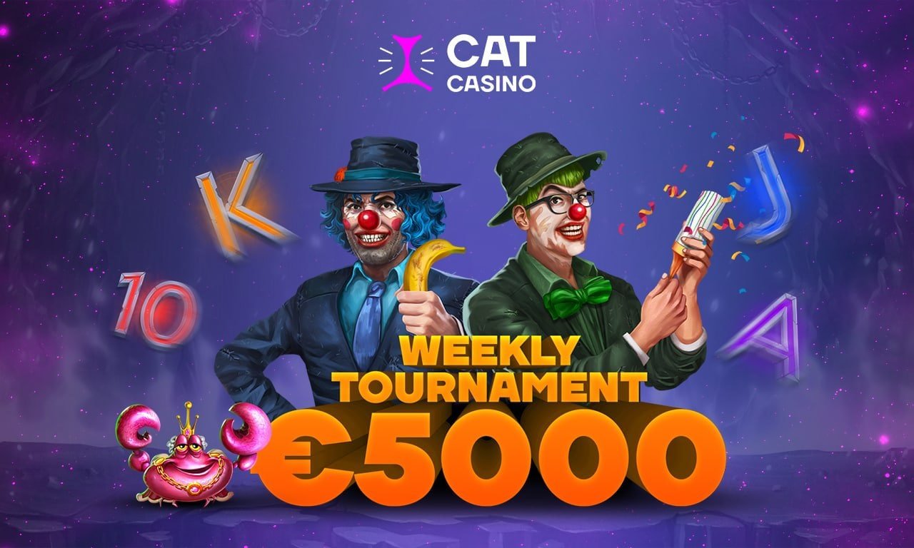 cat casino login official site registration