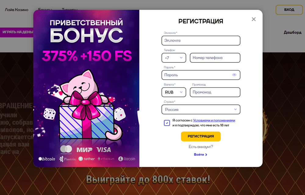 cat casino official site