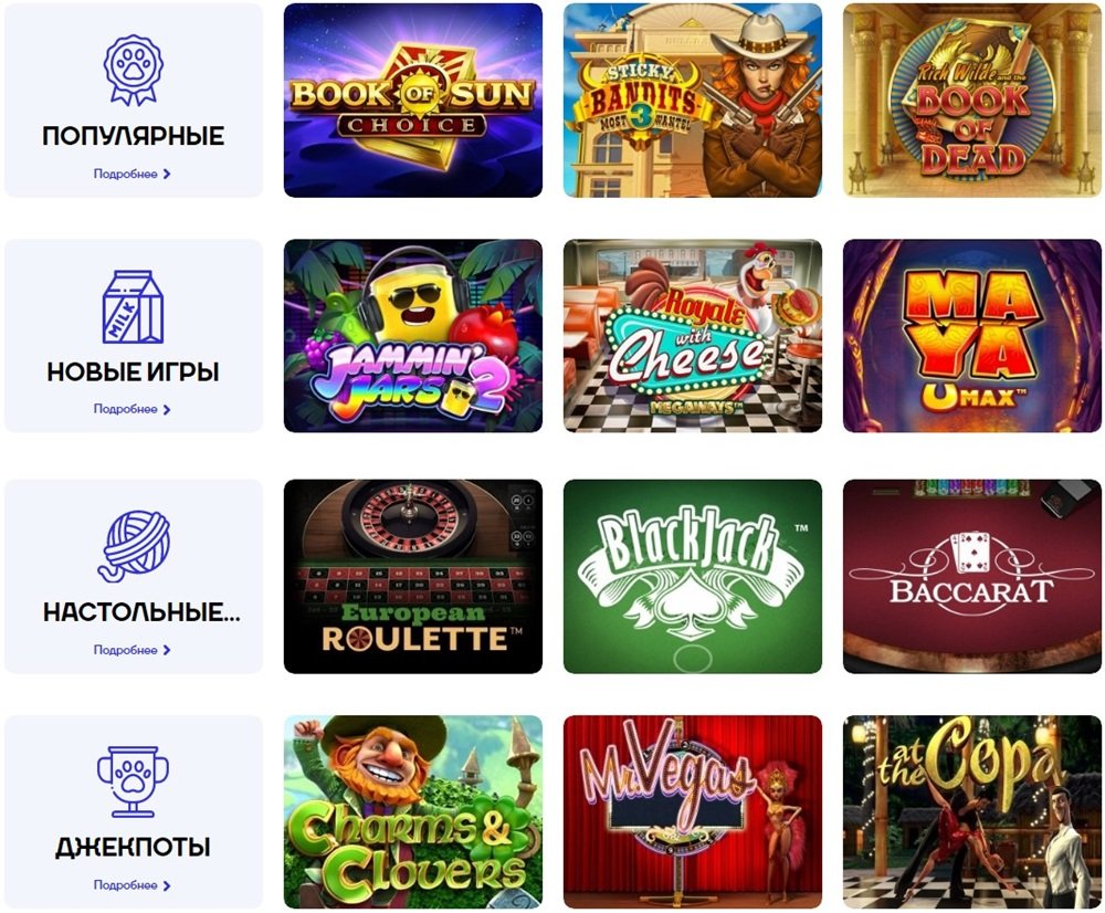 cat casino official site login mirror