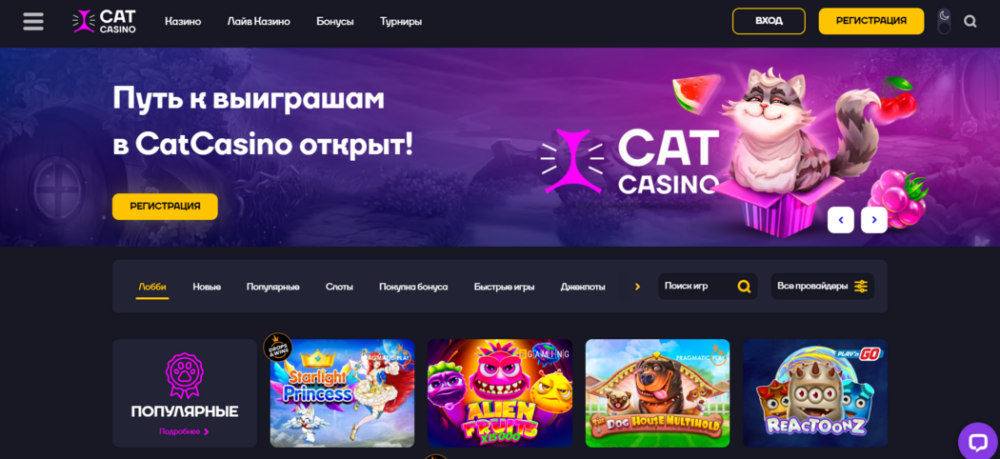 cat casino official site mirror